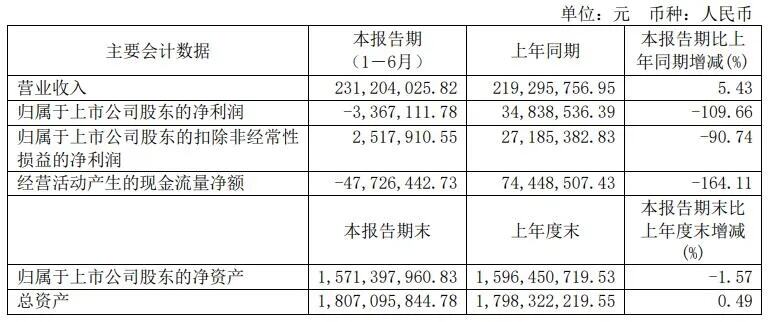 深深爱2023年年度净利