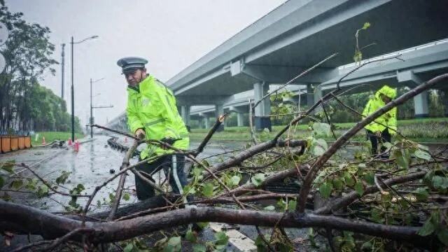 上海交警app今起关闭