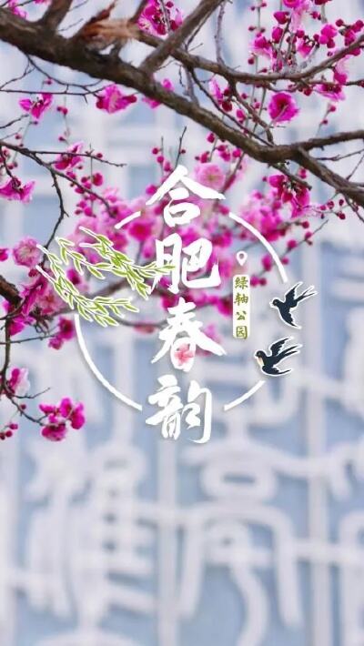 合肥绿轴公园梅花什么时候开