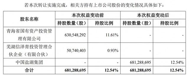 21解读中国盐湖集团猜想