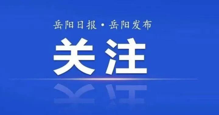 2019年便开始科研攻关