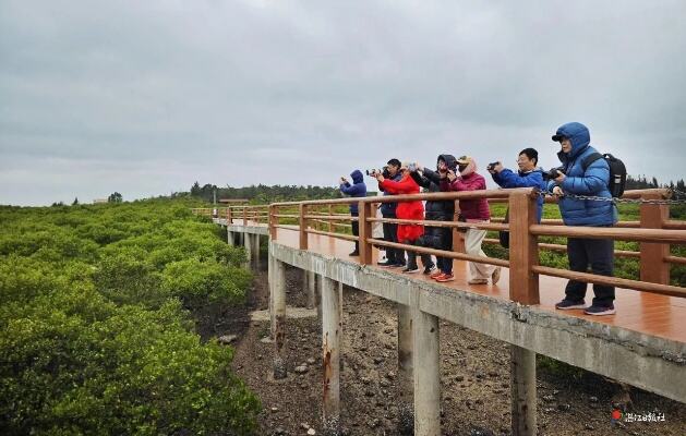 崂山湾荣登首批省级美丽海湾榜首