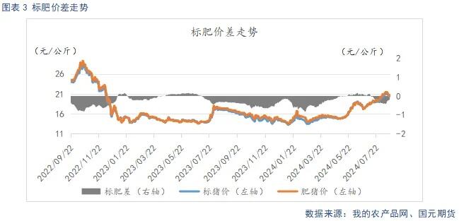 生猪出栏节奏加快