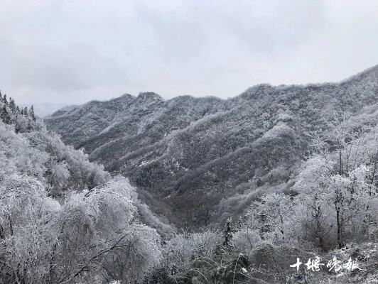 一颗心扑通扑通地跳