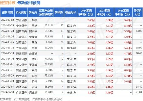 硅宝科技全资子公司