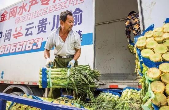 湖南蔬菜出口首次突破百亿元