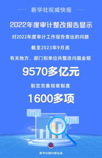 2022年度审计整改报告出炉