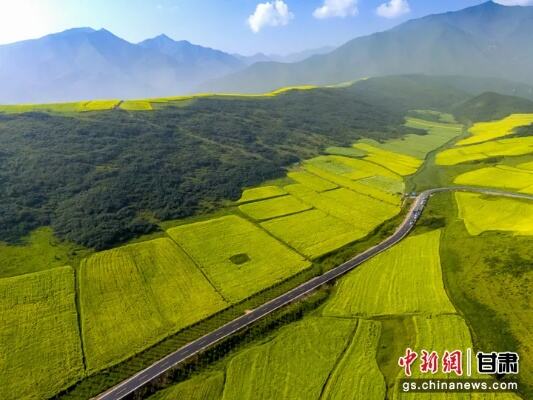 万亩油菜花吸引游客打卡赏花