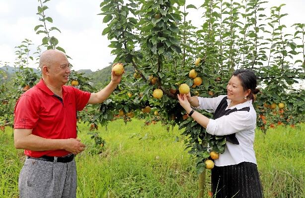 土特产托起致富金饭碗