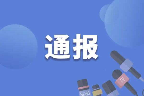 辽宁检察机关依法对刘垠决定逮捕