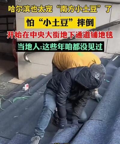 不必对南方小土豆的说法过于敏感