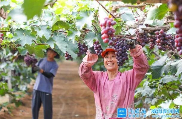 推动农文旅融合发展