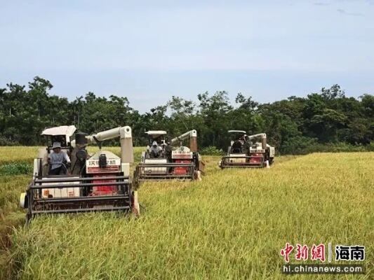 守护粮食安全