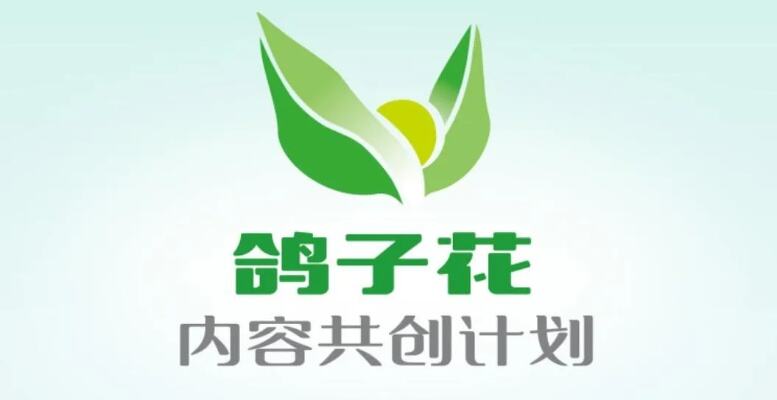 草原云客户端焕新上线