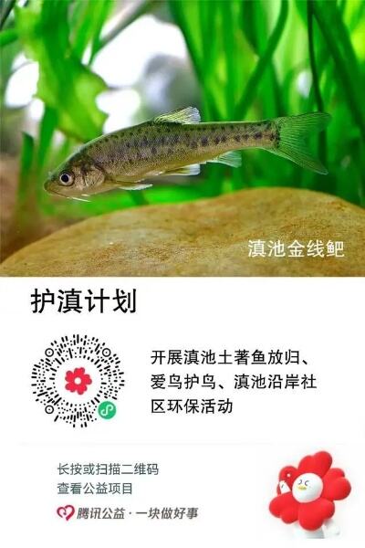 全民参与助力生物多样性保护