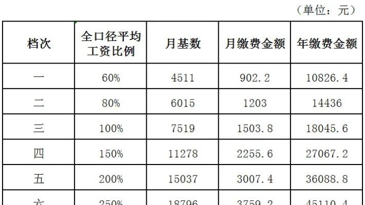 缴费档次从60