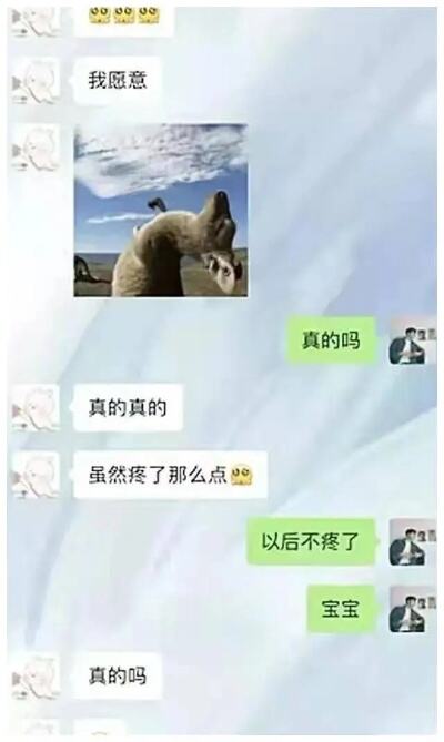 女教师孕期考核未达标被解聘