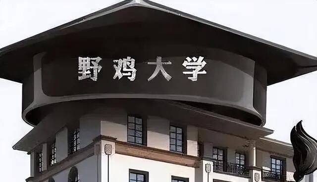 浙江最好的4所大学