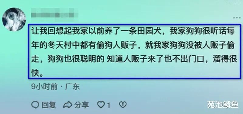 狗坚强的主人谈爱犬获救