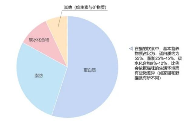 想吃罐头不用买