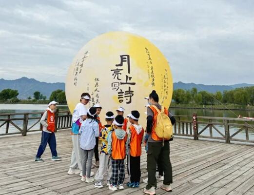 东方白鹳做客龙湾国家湿地公园