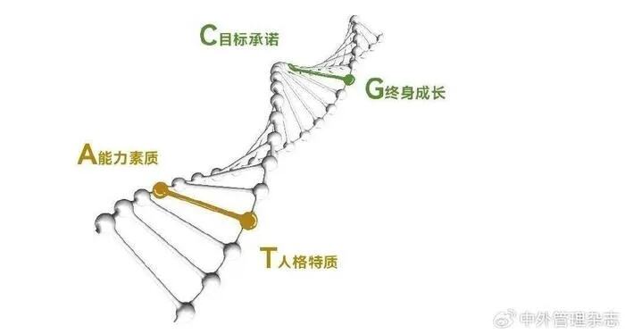 浪费人才比10连败更气人