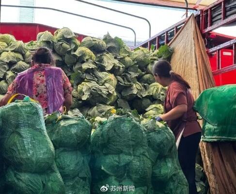 菜市场剔得一干二净的羊骨架