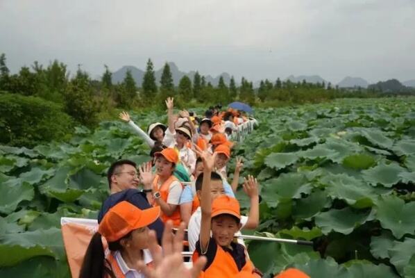 宁夏女棒的奇妙旅程