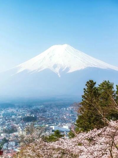 日本河口湖樱花