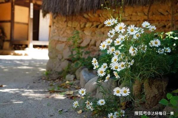 湖南江永举行香柚文化节