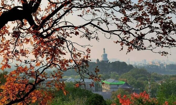 赴清华大学进行线下讲座