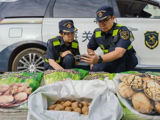 首批新疆阿克苏香梨出口东南亚