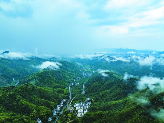 浙江天目山发现全球新物种