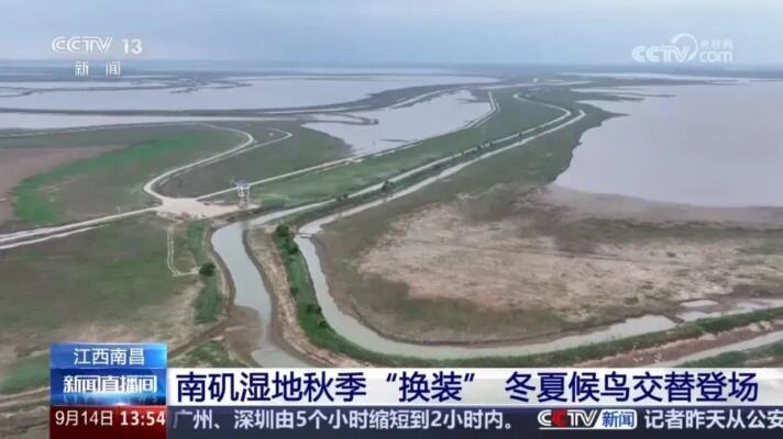 来南昌赴一场候鸟与湿地之约