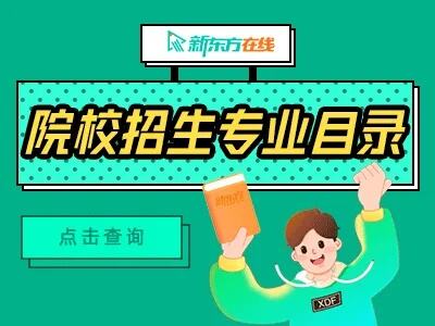 中南民族大学社会工作考研