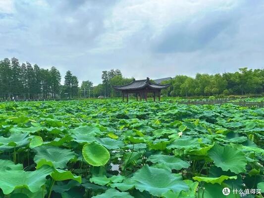 在湖州解读江南文化密码