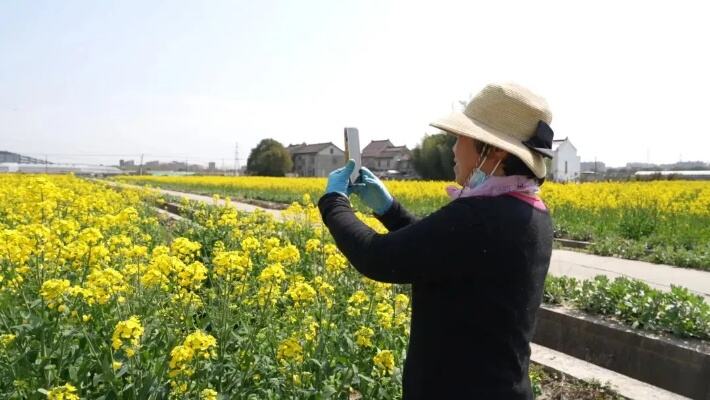 在闵行这里