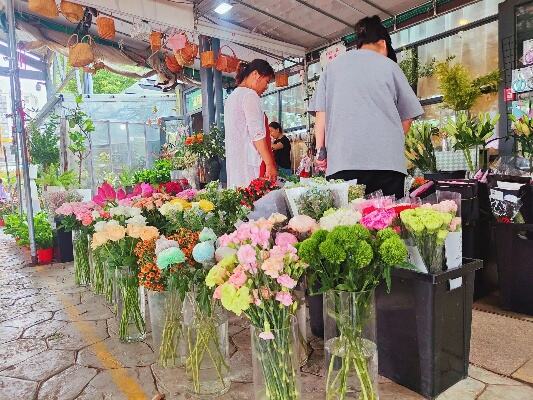 多地花市花团锦簇人气旺