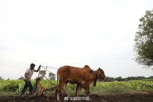 为什么年轻人不愿种地