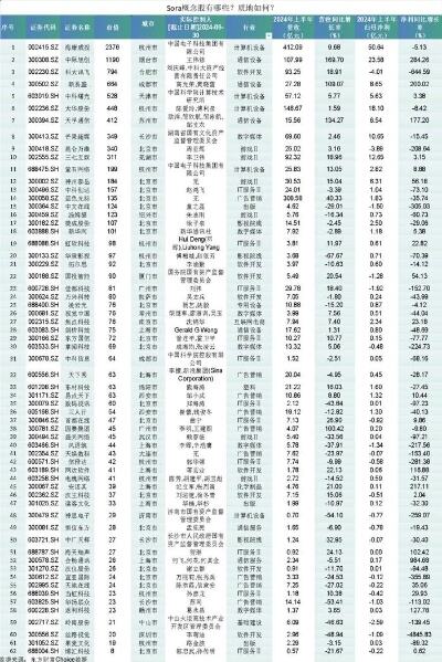 sora概念燃爆市场