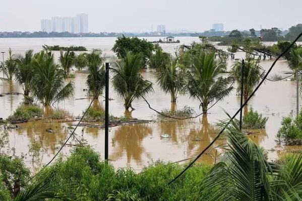 广东强降雨已致4人死亡