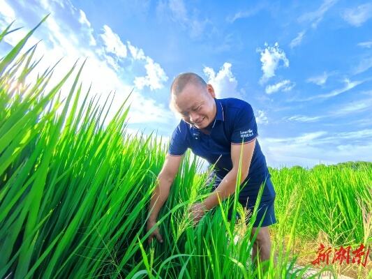 带着大家一起科学种田