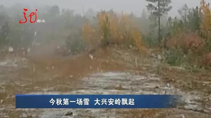 广东多地飘起2024年第一场雪