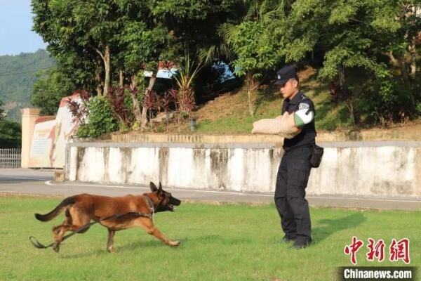 警犬神兵队