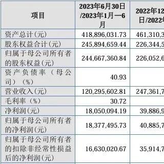 2023年第四季度业绩出现波动