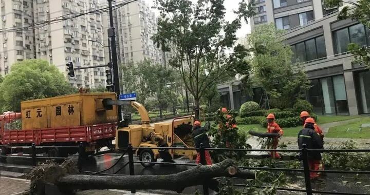 狗狗差点被台风吹到“贴地飞行”