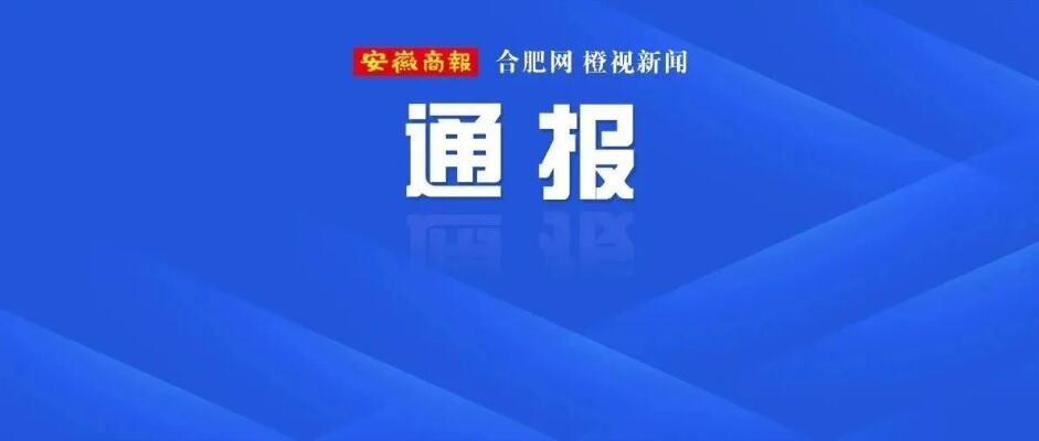 安徽省纪委监委最新通报