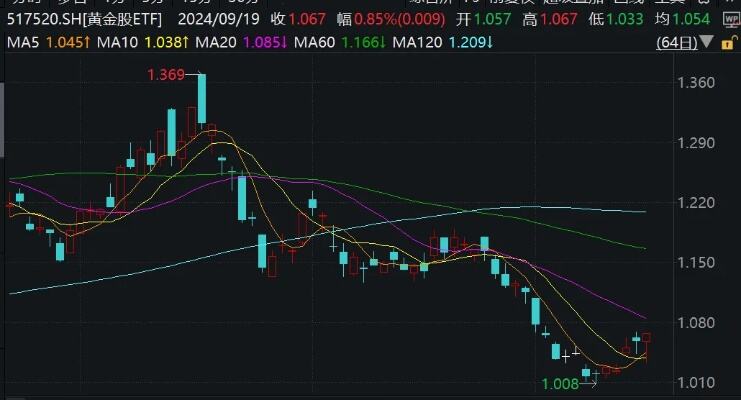 黄金投资放大器