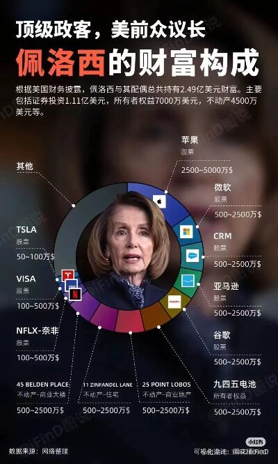 因袭击美前众议长佩洛西丈夫