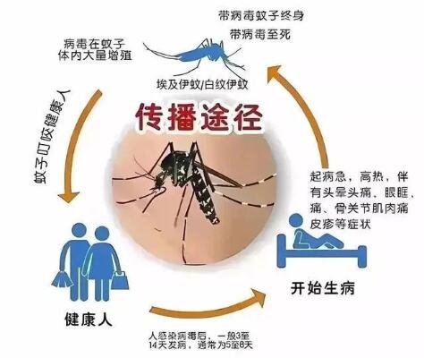 中国使领馆紧急提醒